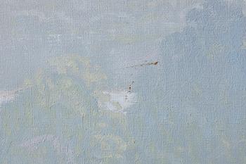 Olof Walfrid Nilsson, From Kebnekaise.