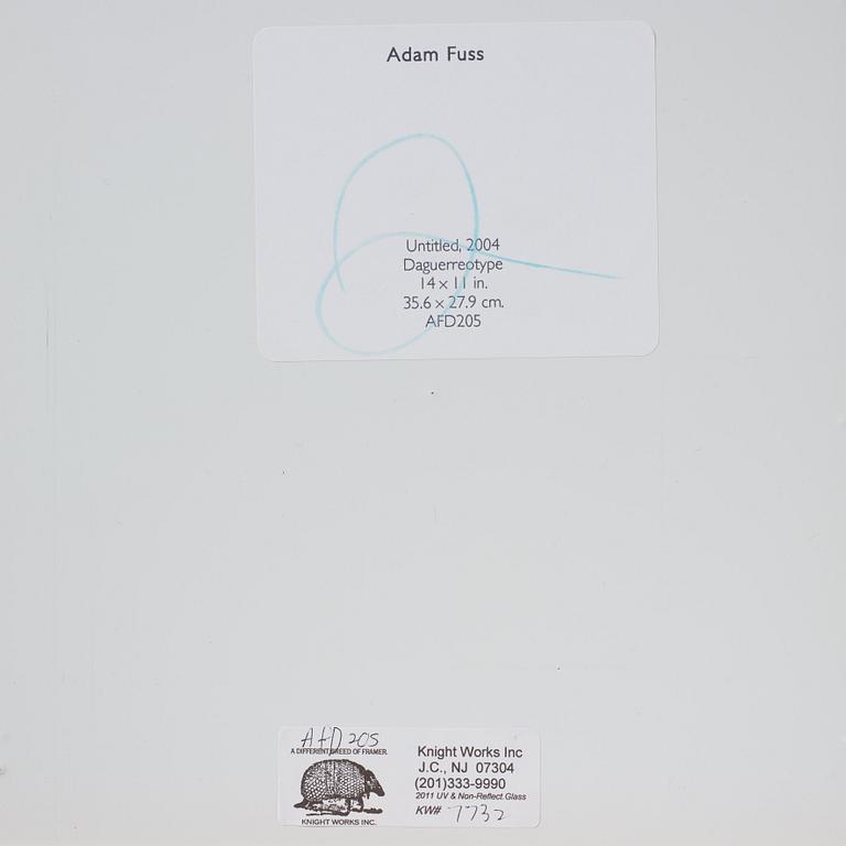 Adam Fuss, "Untitled", 2004.