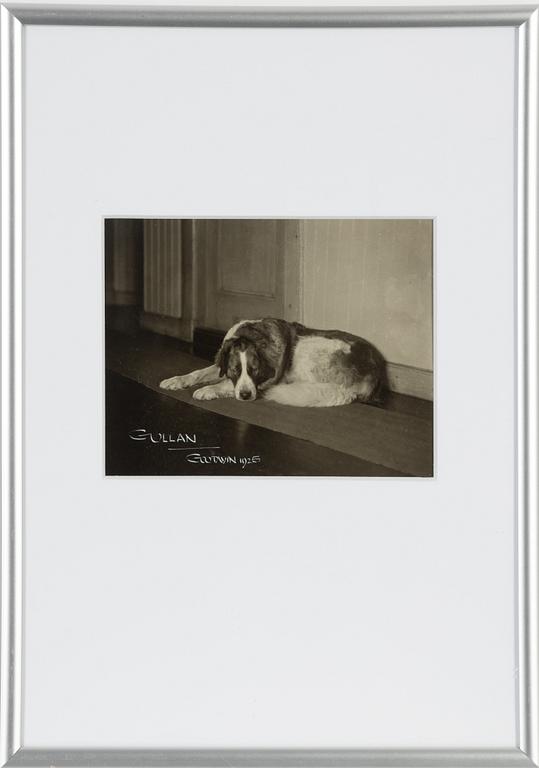 Henry B. Goodwin, gelatin silver print, signed, 1925.