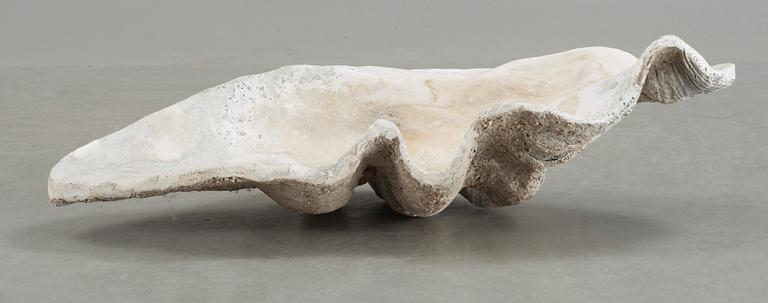 MUSSLA, fossil.
