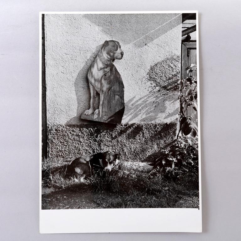 peter Keetman, photography stamped signature verso 1950/60s.