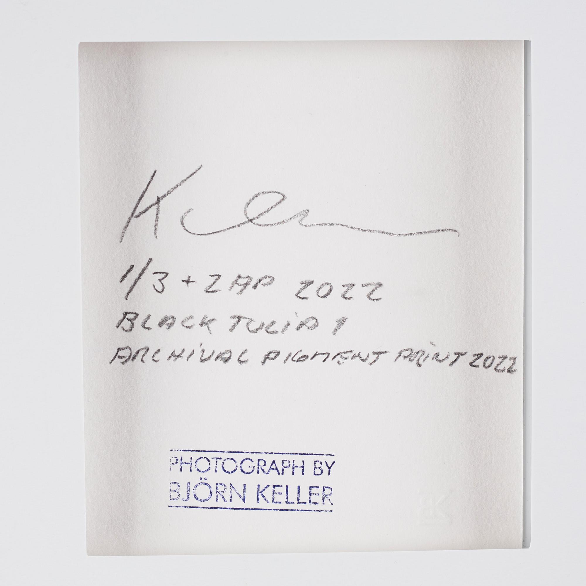 Björn Keller, "Black Tulip 1", 2022.