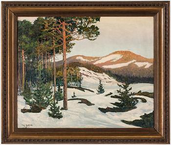 OKÄND KONSTNÄR, olja på duk, signerad T H Janson.