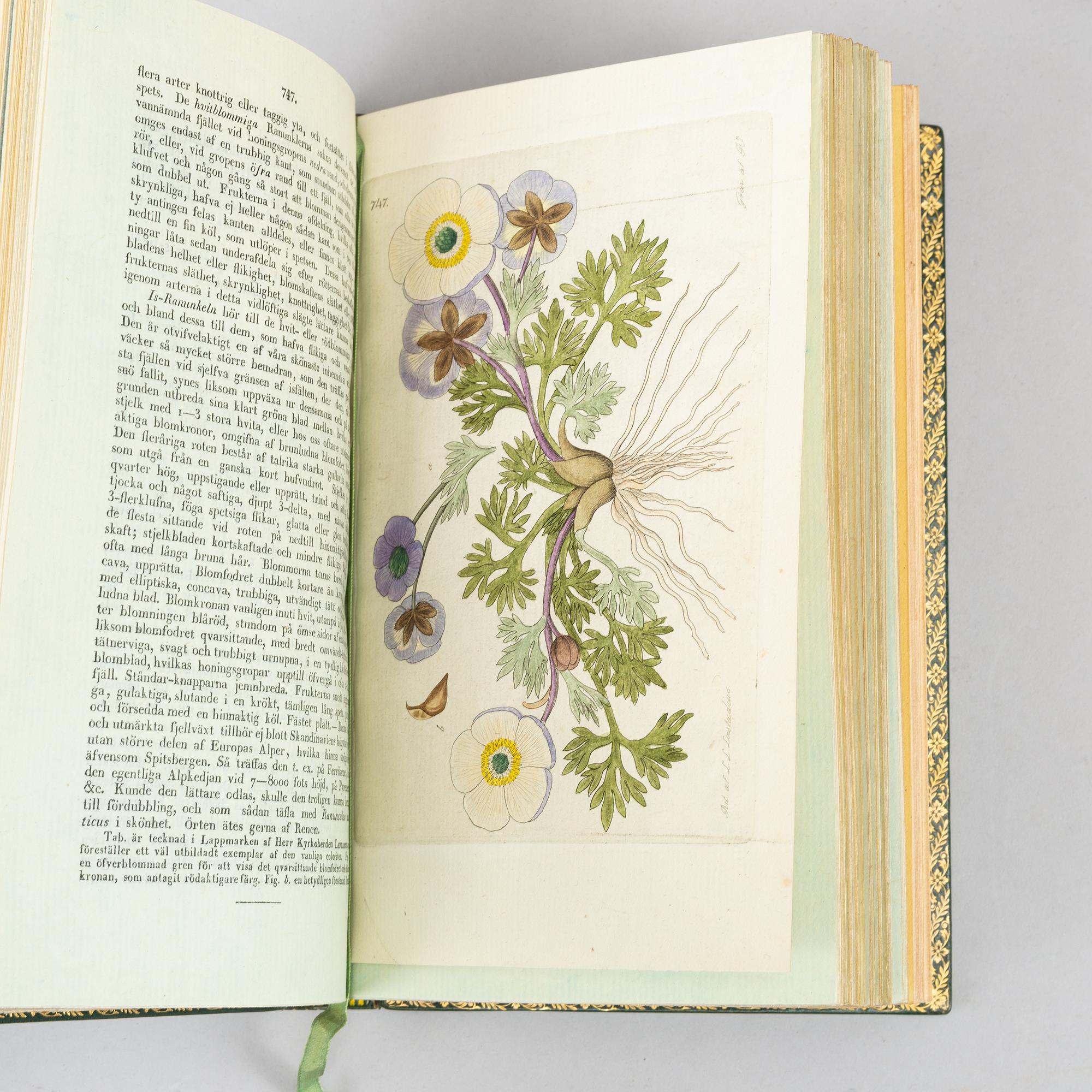 A beatuiful copy of ”Svensk botanik”, with 774 hand-coloured plates.
