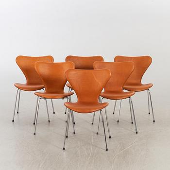 ARNE JACOBSEN,  a set of six "Series 7 Chair" for Fritz Hansen.