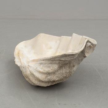 MUSSLA, fossil.