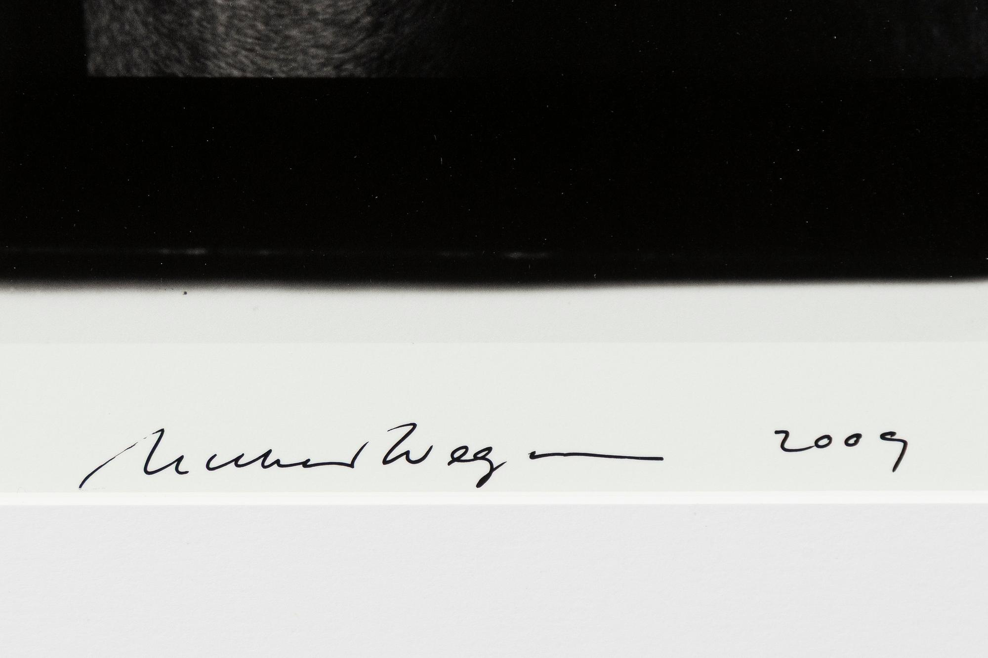 William Wegman, "Friends".