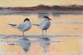 632. Lars Jonsson, Wading terns.