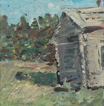 Tapani Raittila, Country side landscape.