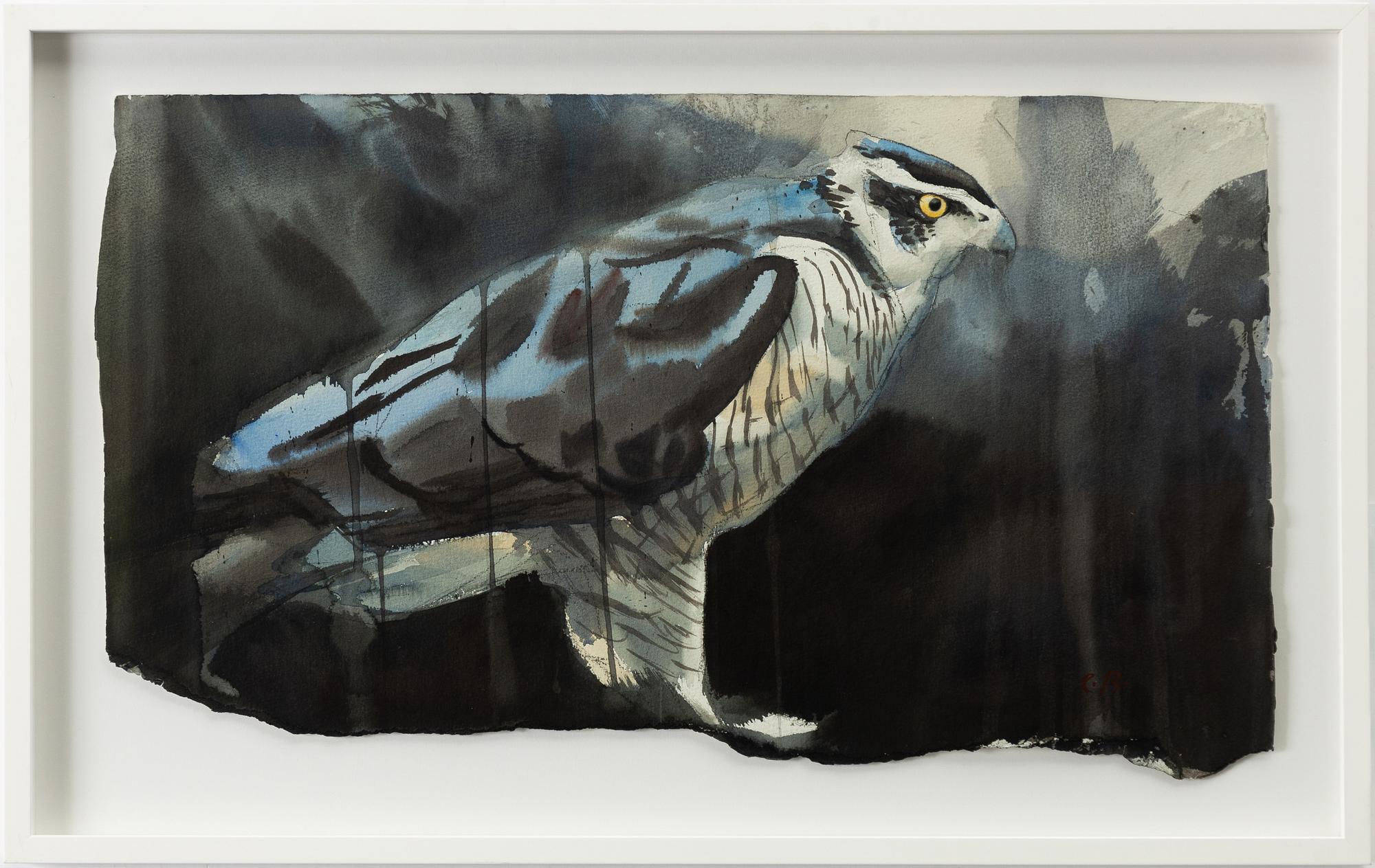 Emanuel Bernstone, Goshawk.