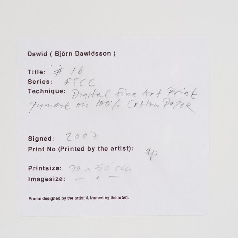 Dawid (Björn Dawidsson), "#16", from the series "FSCC".