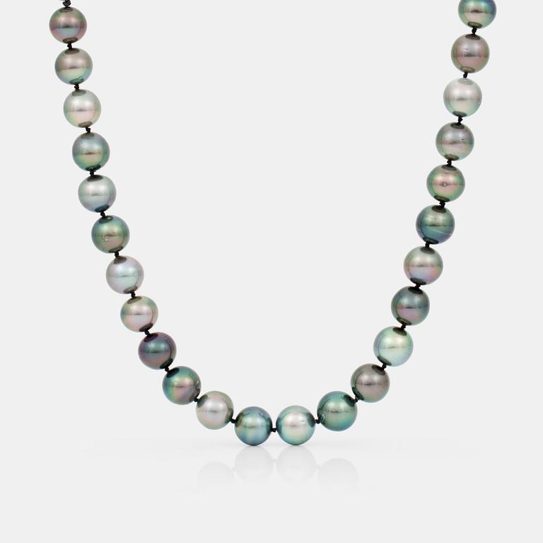 A cultured Tahiti pearl necklace.