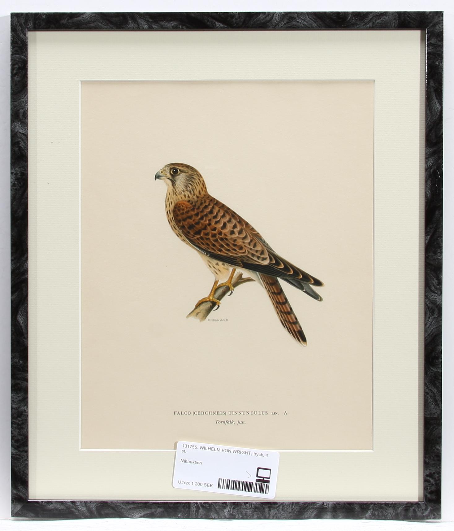 WILHELM VON WRIGHT, tryck, 4 st.