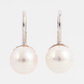 Cultured akoya pearl earrings.