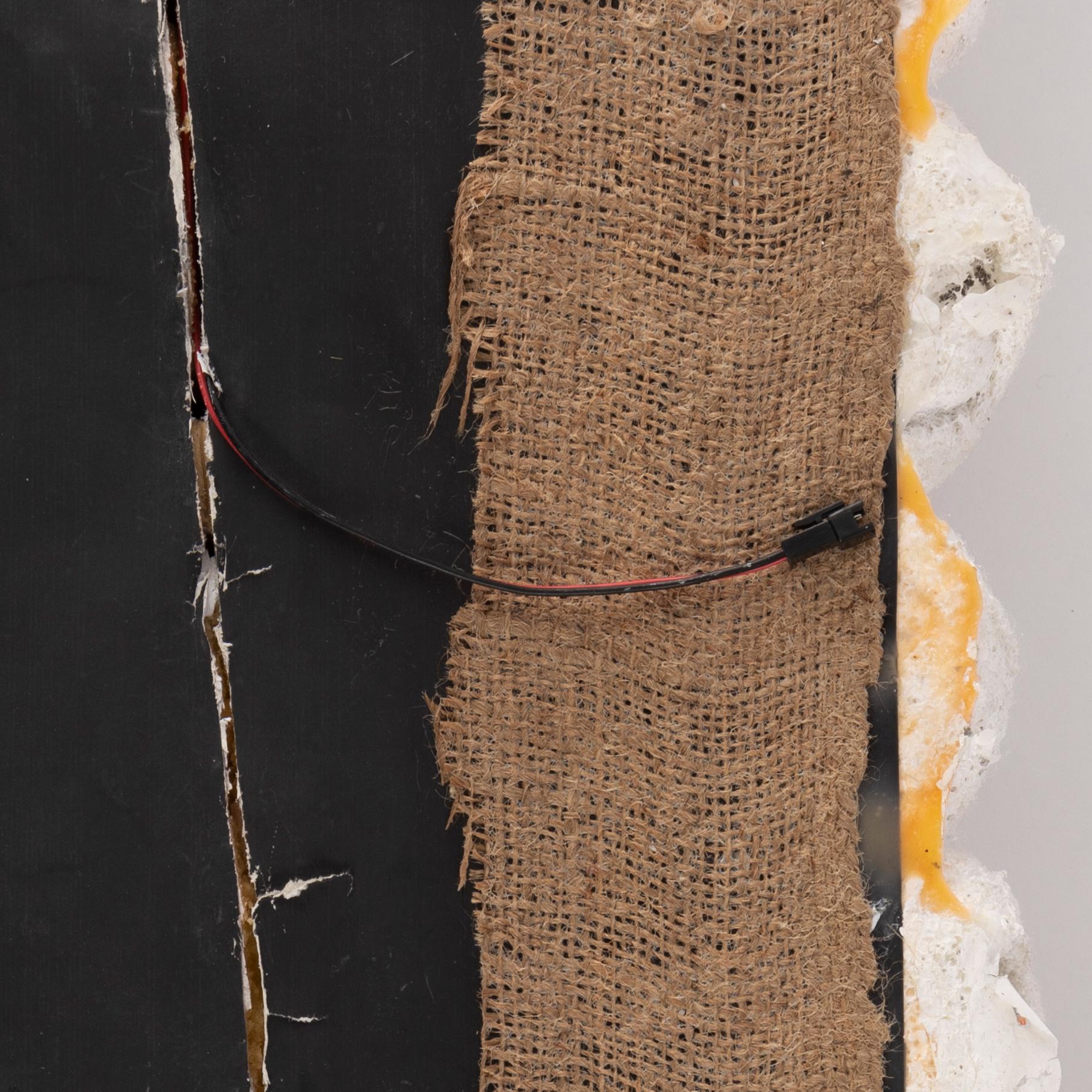 Brian Belott, blandteknik på duk, lampa, signerad och daterad 2016 a tergo.