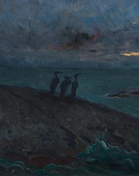 Axel Sjöberg, "Kväll vid Långviksskär med skarfvar".