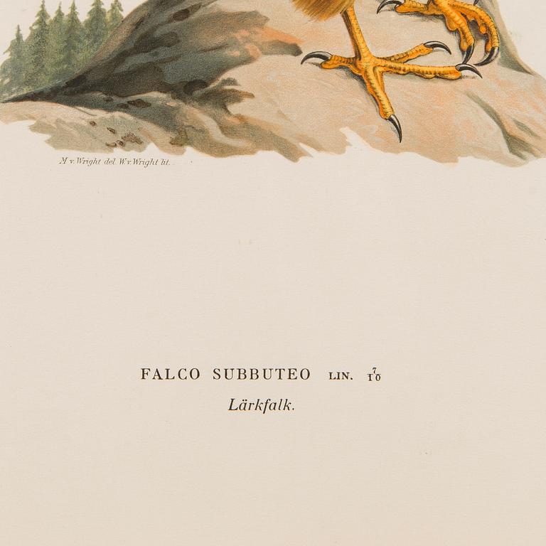 LITHOGRAPHS, 4 pcs, after Wilhelm von Wright and Bror Hallberg. A. Börtzell, Stockholm.