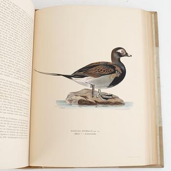 Bibliofilupplagan av von Wright: Svenska fåglar.