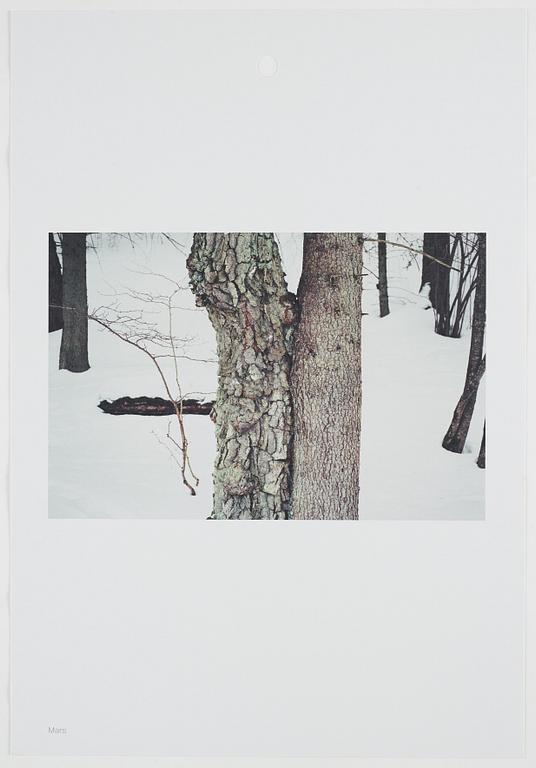 ANDREAS ERIKSSON, portfolio. Signed AE inside the box and numbered 18/250.