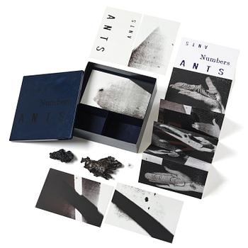 453. Rosemarie Trockel & Kirsten Ortwed, "Blue Box", 1990.