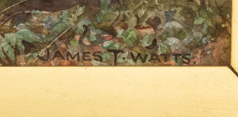 James Thomas Watts, landskap.