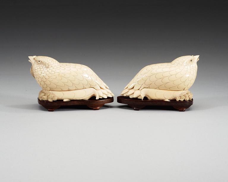 A pair of ivory figurines/boxes with covers in the shape of two quails, Qing dynasty (1644-1912).
