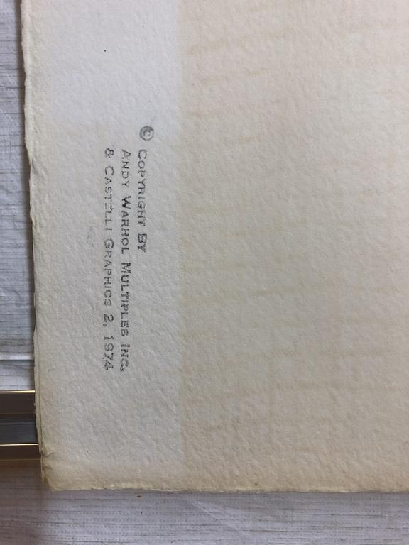ANDY WARHOL, Silkscreen 1974, on Arches paper, signed with initials in pencil, and also signed and numbered 99/250 verso.