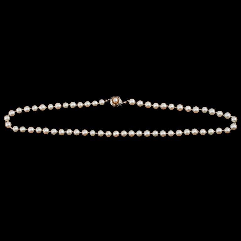 COLLIER, odlade pärlor med lås i 18k vitguld. 1900-talets andra hälft.