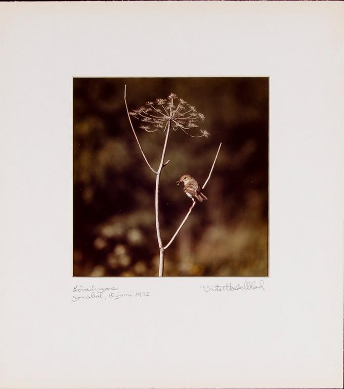VICTOR HASSELBLAD, fotografier, 12 st, signerade, daterade och numrerade, ur serien nr 22.