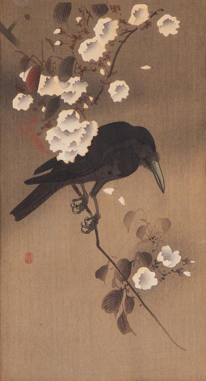 Ohara Koson, Korp med körsbärsblom.