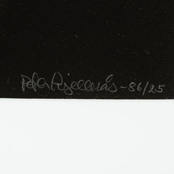 Peter Kjellerås, "Joakim Thåström, Ritz", 1986.