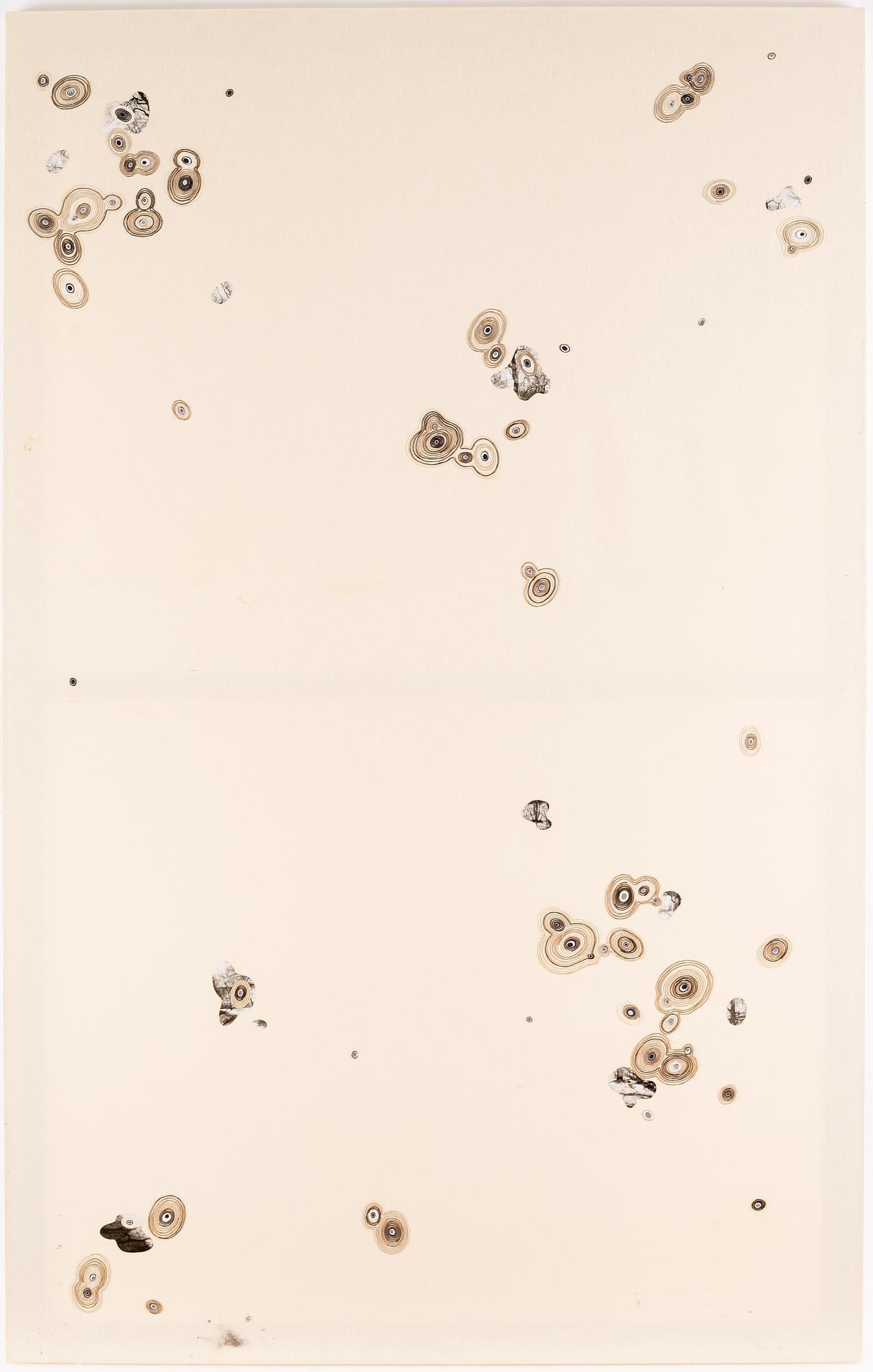 Elisabeth Westerlund, "Lill-Jans Skogen".