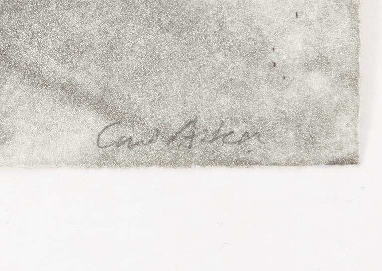 Curt Asker/Wallace Stevens "Elva dikter".