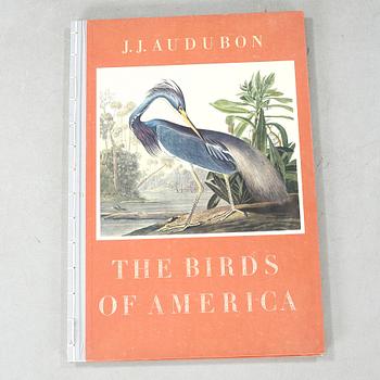The book "The Birds of America", volume II, by John James Audubon, numbered 178/500, 1973.