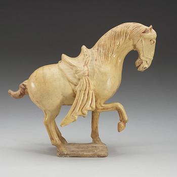 A yellow glazed pottery figure of a horze, Tang dynasty, (618-906).