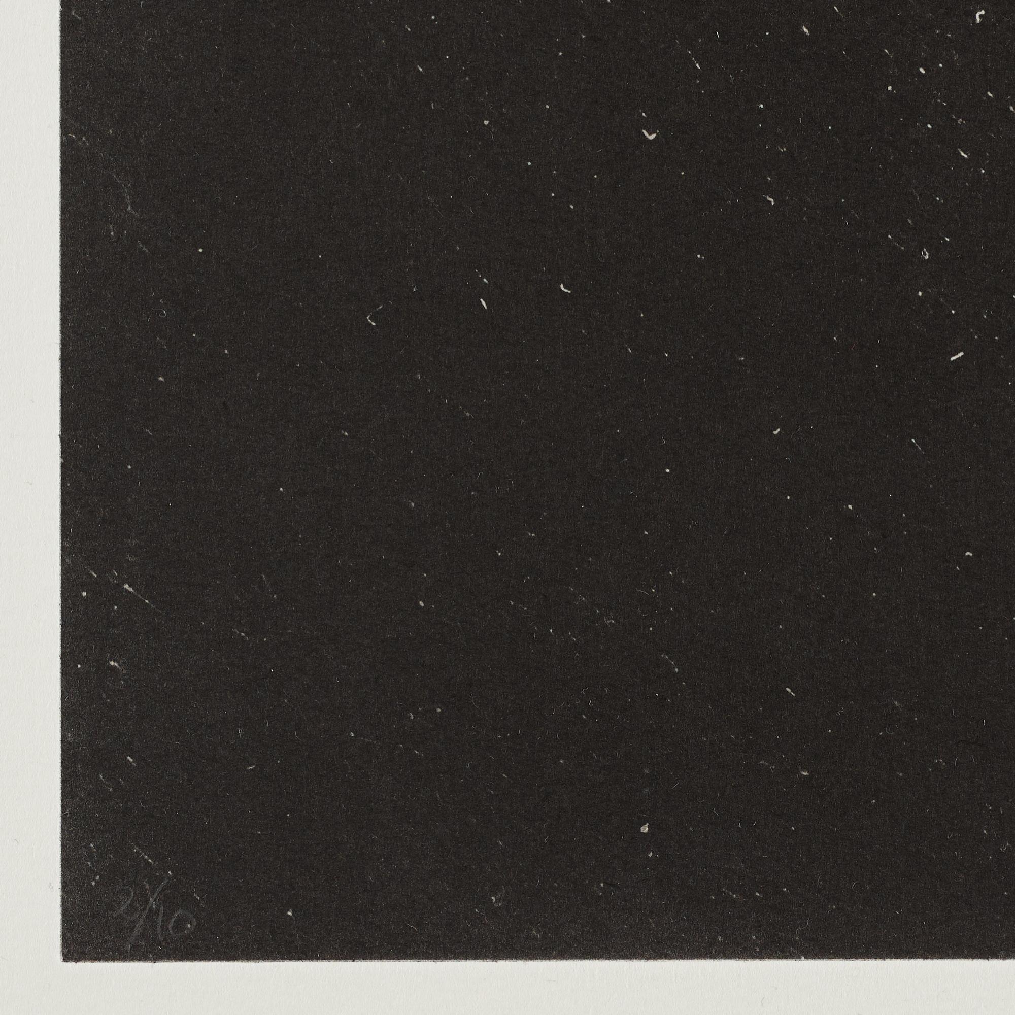 Dan Wolgers, blyrör, signerad Dan Wolgers och numrerad 2/10. 5 photopolymer tryck, 2014, upplaga 10. I originalkartong.