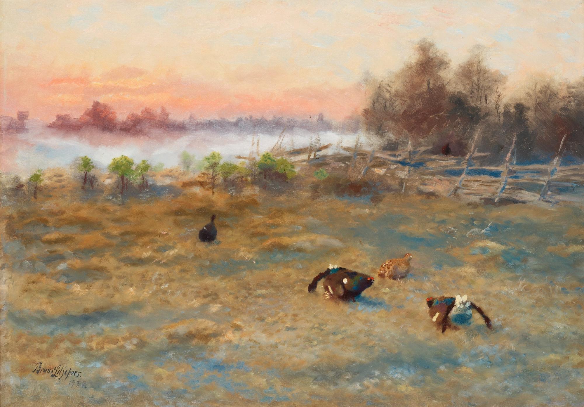 Bruno Liljefors, Blackcock's courting.