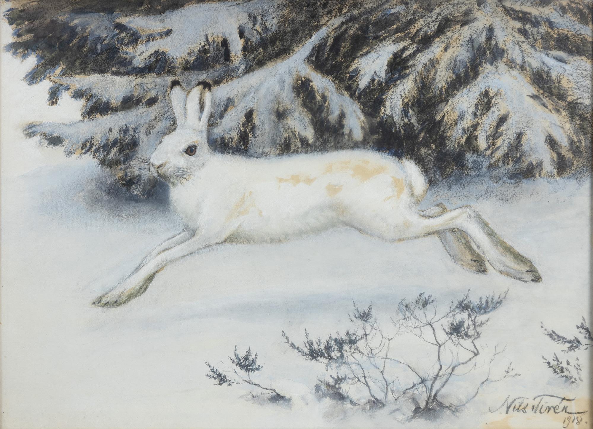 Nils Tirén, Forest hare in winter forest.