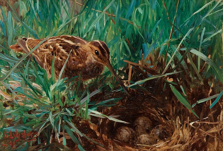 Bruno Liljefors, Common snipe by a nest.