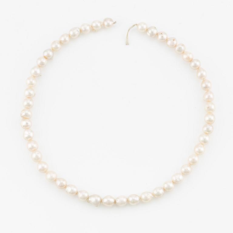 A necklace of cultured pearls without a clasp.