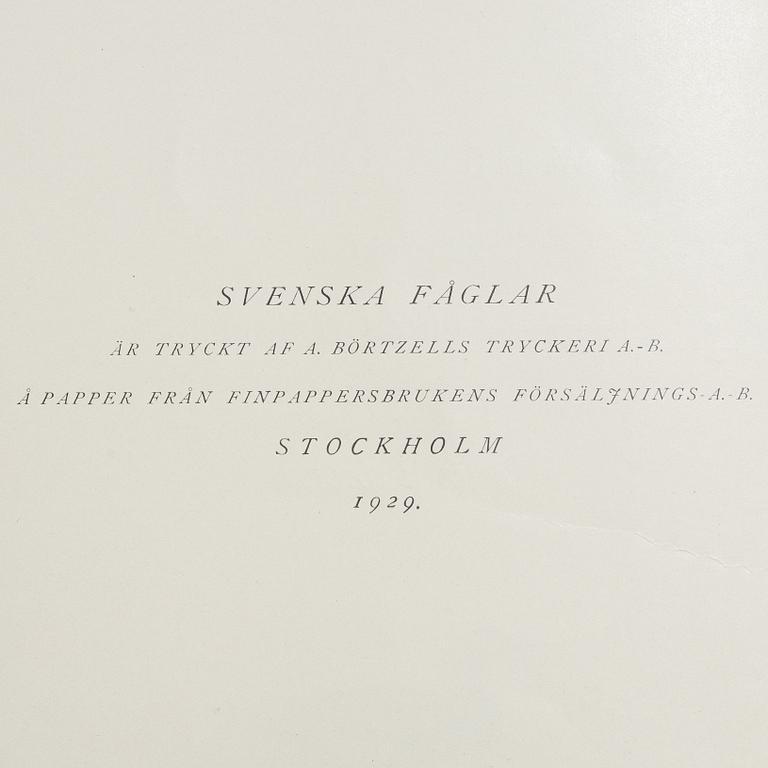 Bröderna von Wright, bokverk, 3 band, "Svenska fåglar", A. Börtzells tryckeri AB, Stockholm, 1927-1929.