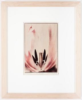 KARIN BERGLUND, Gummitryck, sign o numr 2/12.