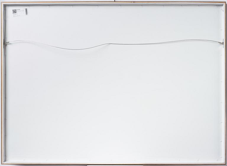 Viktor Fremling, from "Behind the Scenes", 2015.