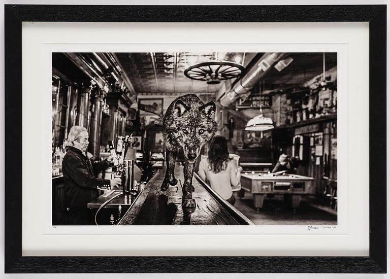 David Yarrow, "The Wolf Of Main Street II", 2015.