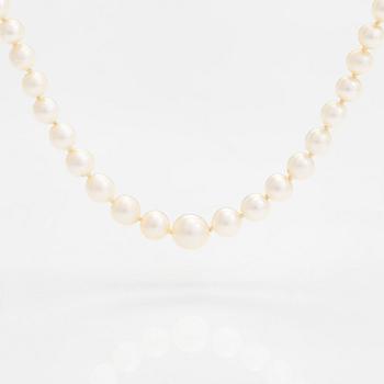 Pärlcollier, odlade pärlor och 14K guld.