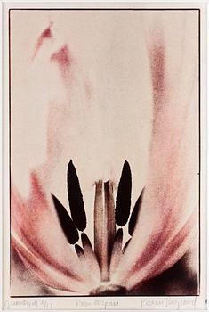 KARIN BERGLUND, Gummitryck, sign o numr 2/12.