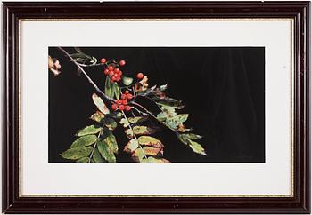 Stephen Clark · STEPHEN CLARK, akvarell, signerad.