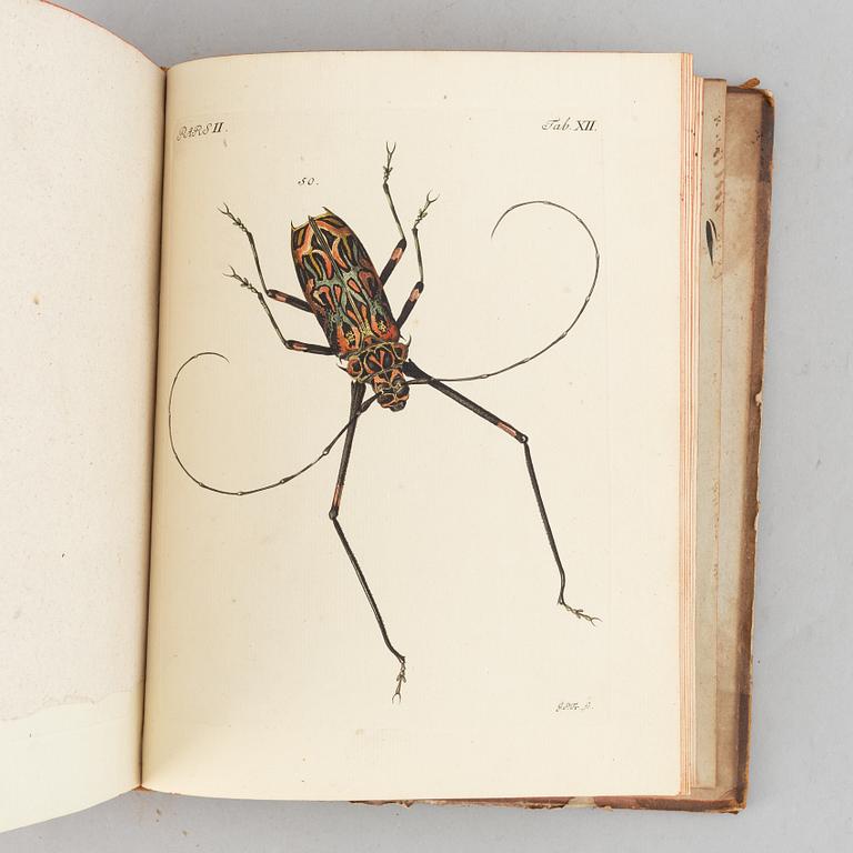 Beautiful hand-coloured engraved plates of beetles.