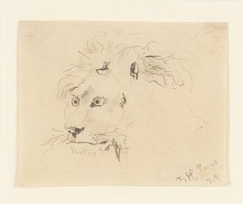 Bror Hjorth, Lion.