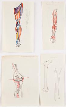 MAX GOLDSTEIN (MAGO), ca 50 st, anatomiska-, arkitektoniska- och dräktskisser, vissa signerade och daterade, från 40-tal.